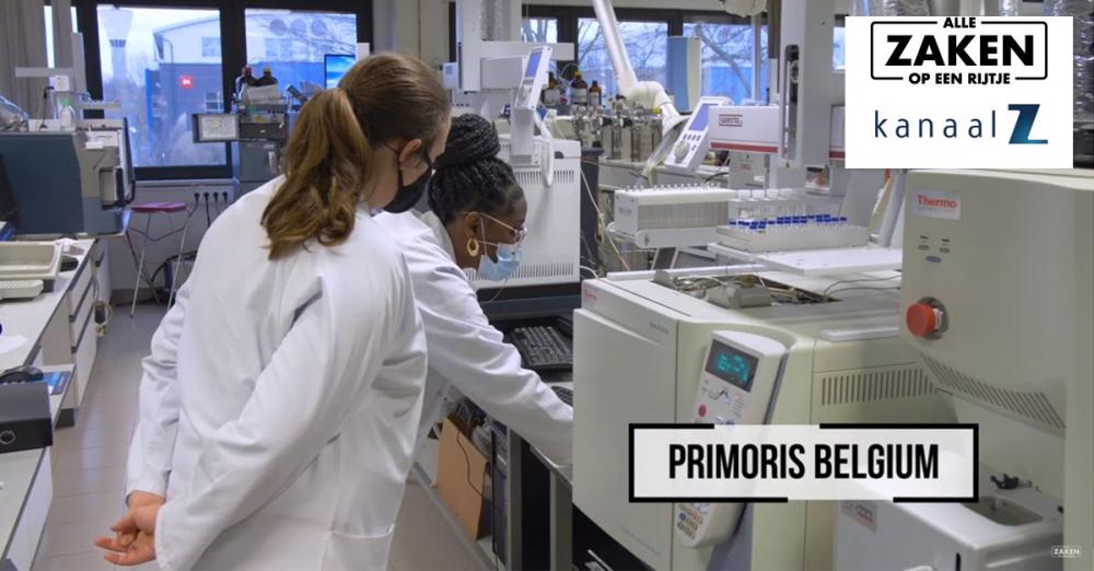 Primoris